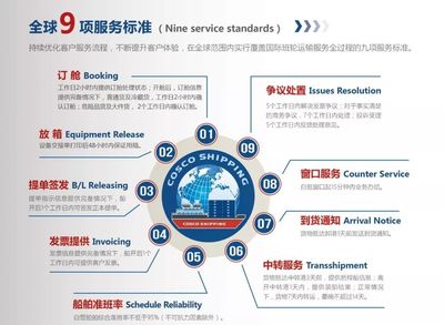 回眸四十年｜向下耕耘 向上攀高 中远海运集运深耕华南三十三年